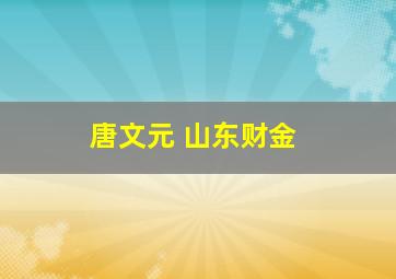 唐文元 山东财金